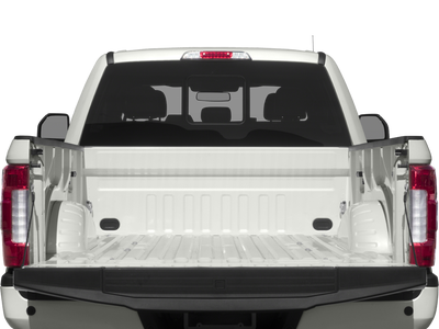 2017 Ford F-250SD Platinum