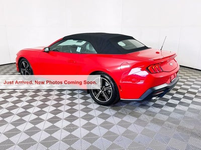 2025 Ford Mustang EcoBoost Premium