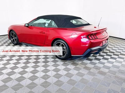 2024 Ford Mustang EcoBoost Premium