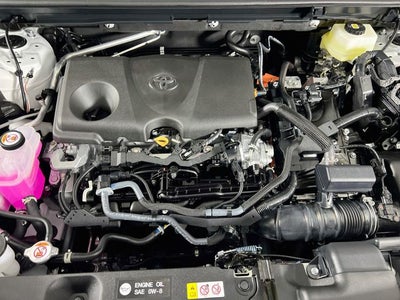 2026 Toyota RAV4 Woodland