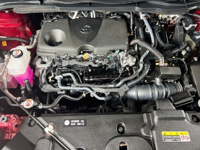 2025 Toyota Sienna XLE 8 Passenger