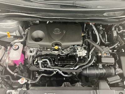 2025 Toyota Sienna XLE 8 Passenger