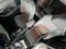 2025 Toyota Corolla Hybrid SE