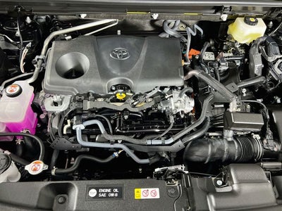 2026 Toyota RAV4 Woodland