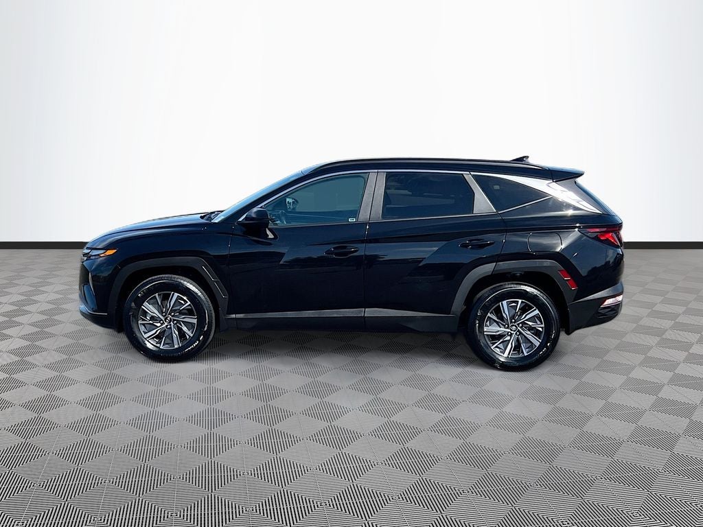 2024 Hyundai TUCSON HYBRID Blue