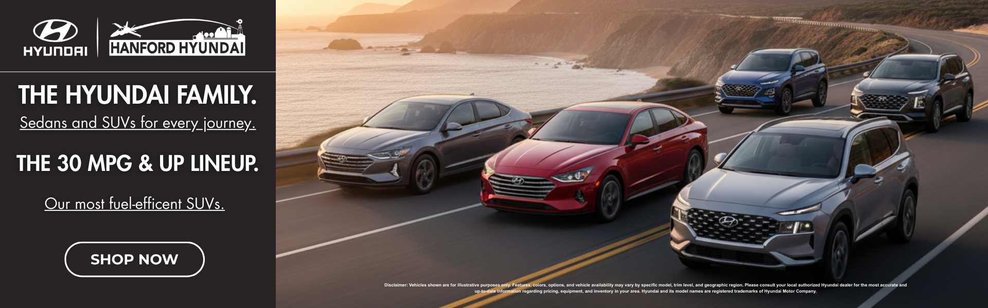 Hyundai Family 30 MPGand UP lineup